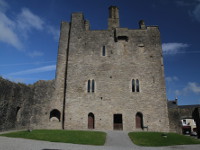 Roscrea Castle